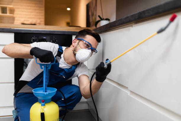 Reliable Burnham, PA Pest Control Solutions