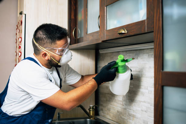 Best Cockroach Control Services  in Burnham, PA