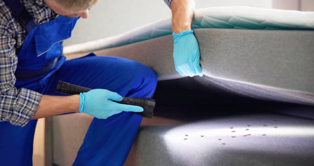 Pest Control for Restaurants in Burnham, PA