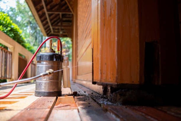 Best Pest Prevention Services  in Burnham, PA